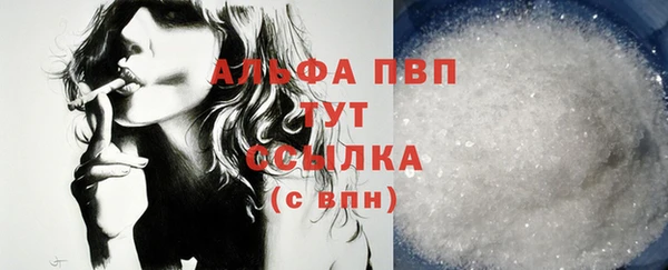 СК Аркадак