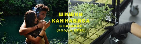 дмт Арсеньев