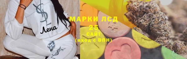 СК Аркадак