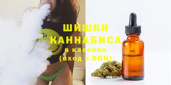 дмт Арсеньев