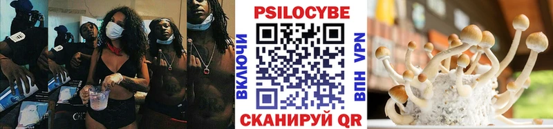Псилоцибиновые грибы мицелий Лобня